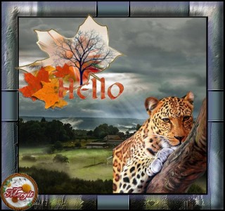 Helló